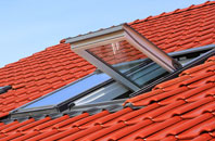 Berrick Salome roof window